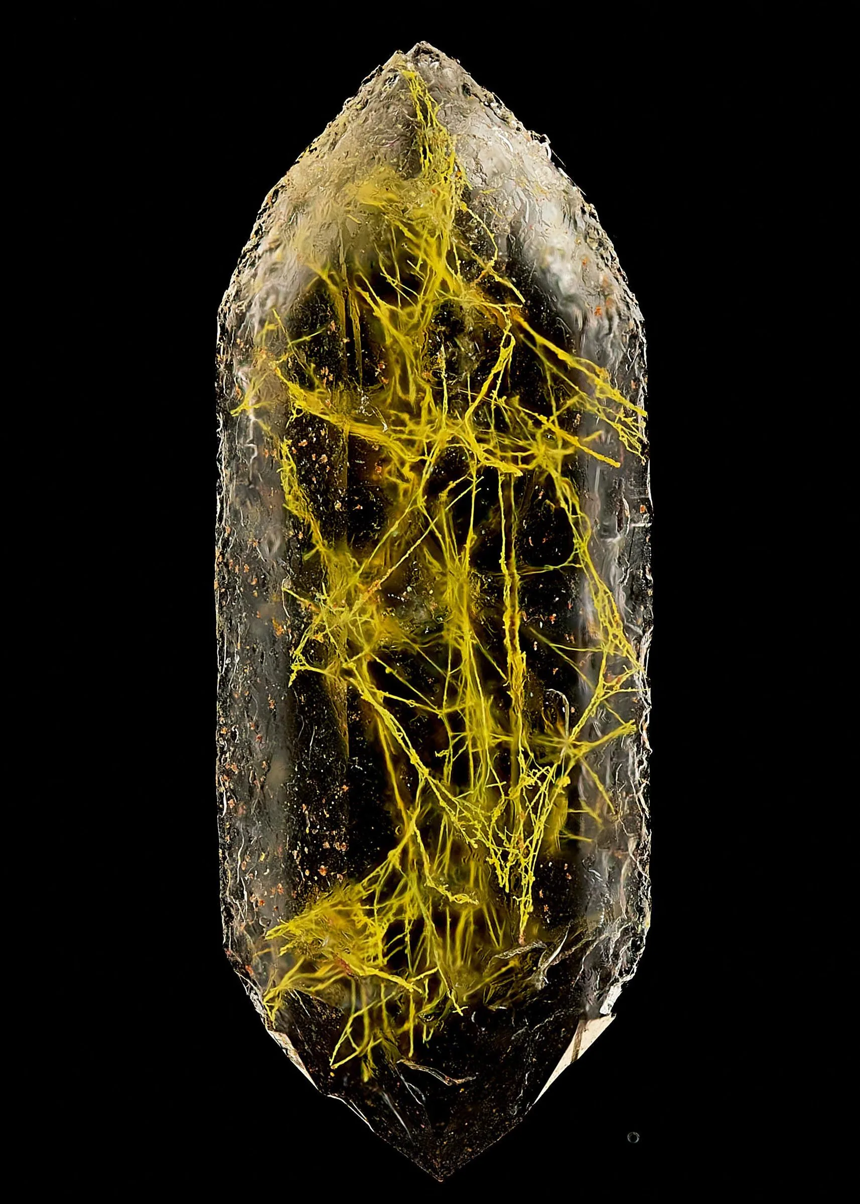 Фіналісти Nikon Photomicrography Competition 2025: краса мікросвіту крізь об'єктив