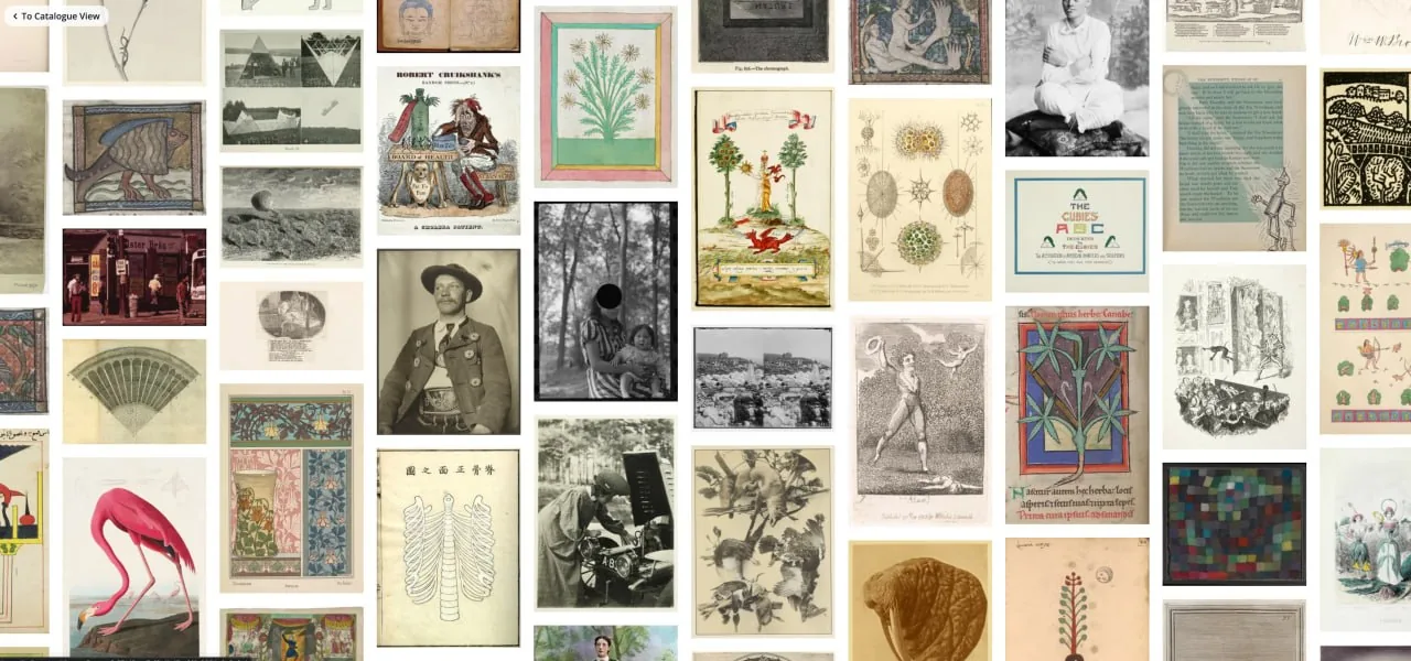 Public Domain Image Archive: 11000+ вільних зображень для натхнення