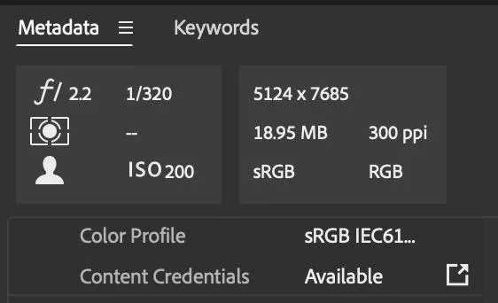 Photoshop 25 автоматично записує Content Credentials: що це і як видалити мітку ШІ
